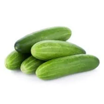 cucumber03-7158030-72570.webp