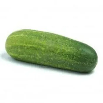 cucumber04-3503262-29122.webp