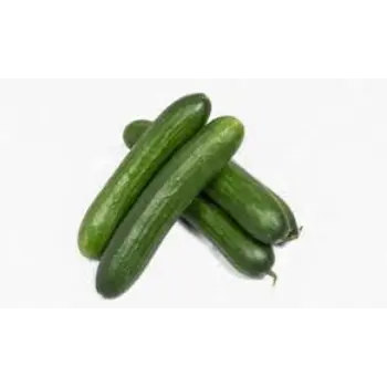 cucumber06-421957-80088.webp
