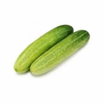 cucumber06-9854091-94407.webp