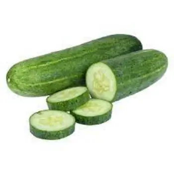 cucumber08-9484738-9964.webp
