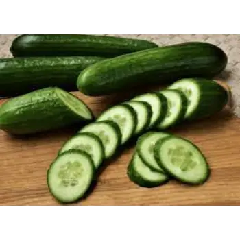 cucumber09-1706119-9343.webp