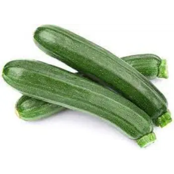 cucumber09-6210093-7352.webp