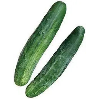 cucumber10-9287134-89531.webp