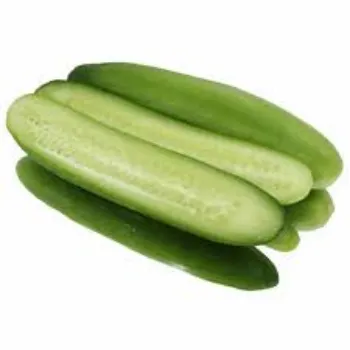 cucumber10-9818953-22206.webp