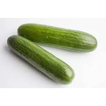 cucumber11-9681192-77684.webp