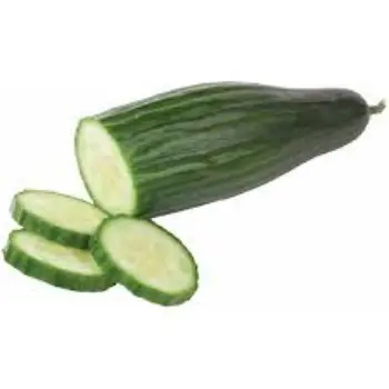 cucumber12-1376314-92863.webp