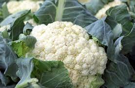 Frozen Cauliflower culli2-4790954-23751.jpg