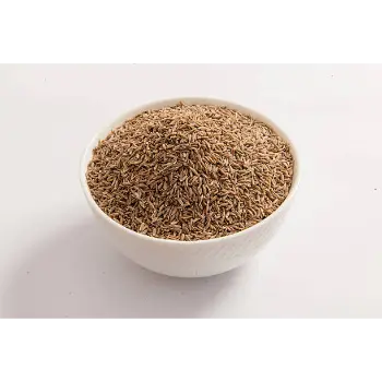 Fresh Cumin Seeds cumin-seeds-39-5455466-54051.webp