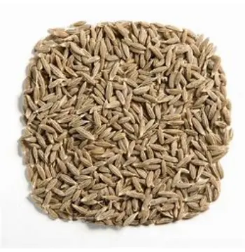 Organic Cumin Seeds cumin-seeds15-3009391-99938.webp