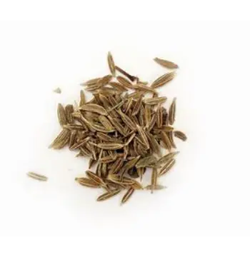 Natural Cumin Seeds cumin-seeds32-8668273-38388.webp