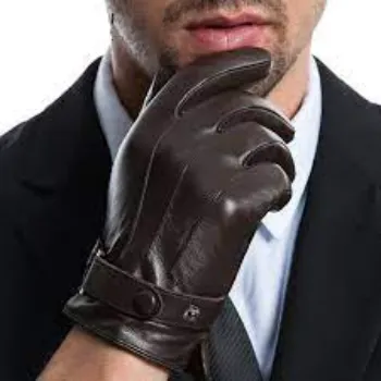 designer-gloves-1-3468727-19735.webp