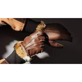 designer-gloves-1-4776877-14402.webp