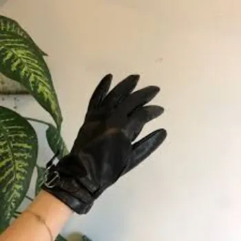 designer-gloves-12-5382419-77837.webp