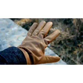 designer-gloves-2-4086955-47050.webp