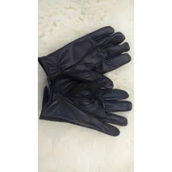 designer-gloves-24-2458904-70913.webp