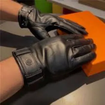 designer-gloves-28-8208352-36194.webp