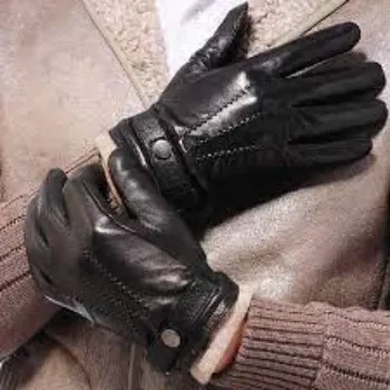 designer-gloves-3-5349219-8058.webp