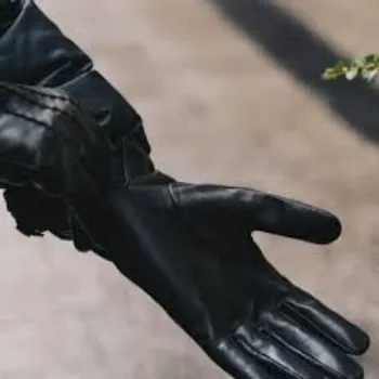 designer-gloves-30-1766398-96396.webp
