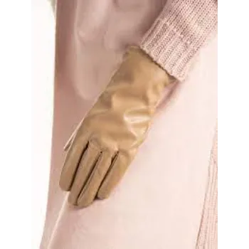 designer-gloves-6-2995799-43057.webp