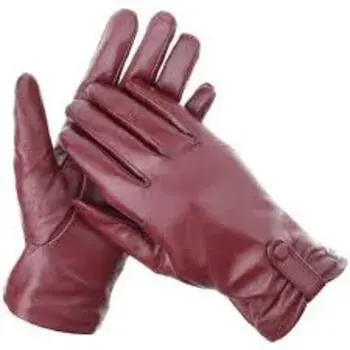 designer-gloves10-5238148-75962.webp