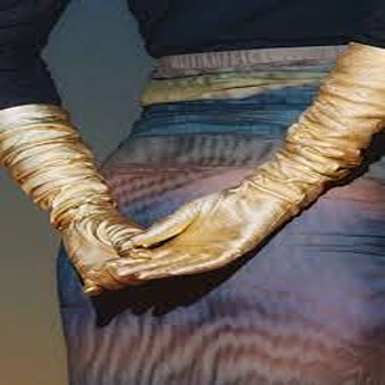 designer-gloves11-9638313-91486.webp