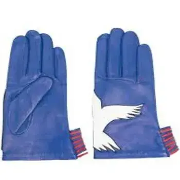 designer-gloves2-2522128-57951.webp