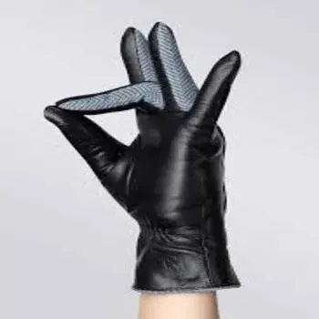 designer-gloves3-5874612-13288.webp