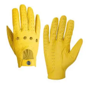designer-gloves4-1390924-65320.webp