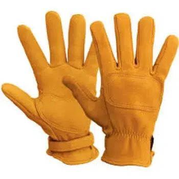 designer-gloves4-250201-45090.webp