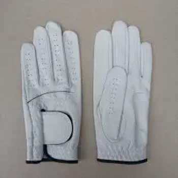 designer-gloves6-1750759-94669.webp