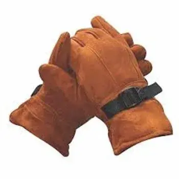 designer-gloves8-5940792-6377.webp