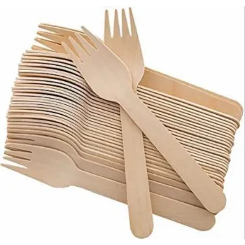 Disposable Fork disposable-fork-5-1605378-59968.webp