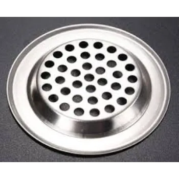 drain-strainers-3-9839618-30560.webp