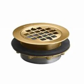 drain-strainers-4-2061888-79222.webp