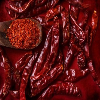 drchilli.jpg