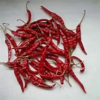 Dry Red Chilli dry-red-chilli-04-298878-50078.webp