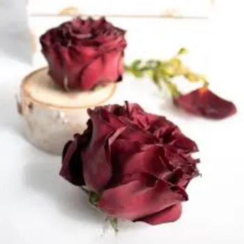 Natural Dry Rose