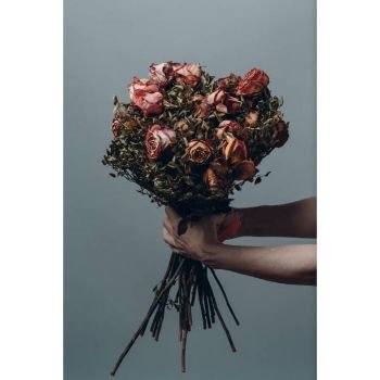 Dry Rose dry7-3306877-38786.jpg