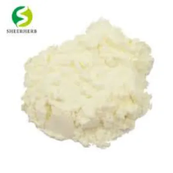 egg-albumen-powder63-361516-32023.webp