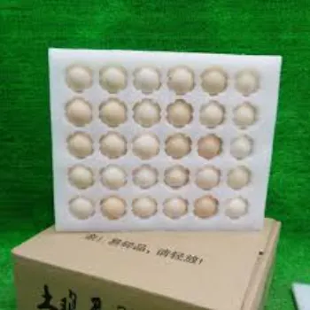 Durable EPE Foam Buffer epe-foam-buffer-3-1399954-61468.webp