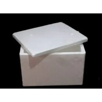 EPS Thermocol Box eps-thermocol-box-1-6593570-28001.webp