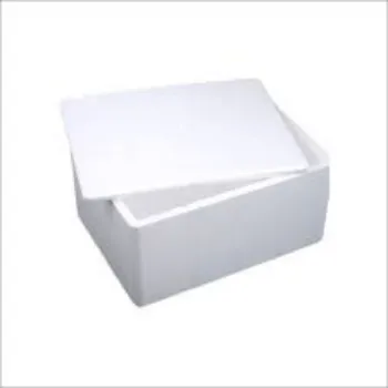 plain white EPS Thermocol Box eps-thermocol-box-3-2489253-75013.webp