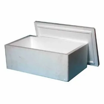 EPS Thermocol Box eps-thermocol-box-4-6131687-98613.webp