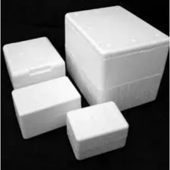 plain white EPS Thermocol Box eps-thermocol-box-4-7546353-99708.webp