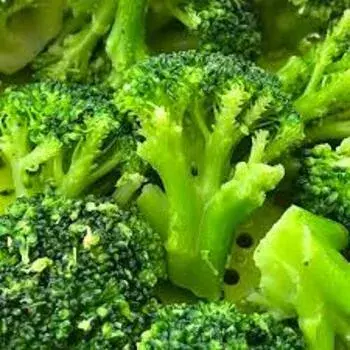 Frozen Broccoli fb1-5440422-80665.webp