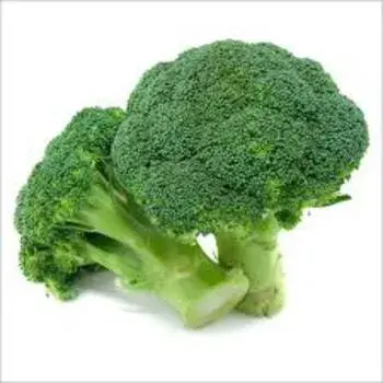Frozen Broccoli, Net Bag, Iqf fb2-4649838-11181.webp