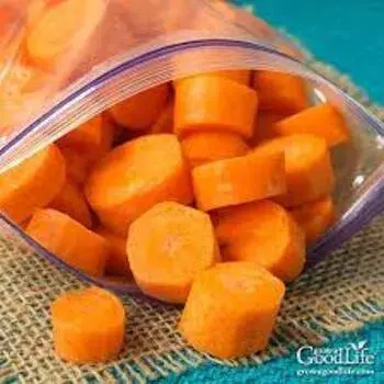 Frozen Carrot fc2-1792062-47644.webp