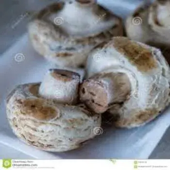 A Grade mushroom fm4-5208319-74029.webp