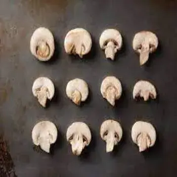 frozen mushroom fm5-3689256-46787.webp
